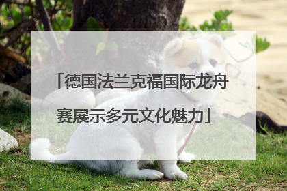 德国法兰克福国际龙舟赛展示多元文化魅力