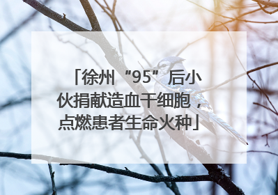 徐州“95”后小伙捐献造血干细胞，点燃患者生命火种