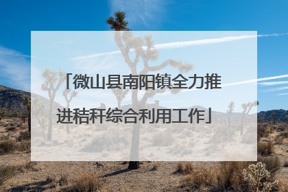 微山县南阳镇全力推进秸秆综合利用工作