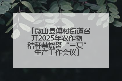 微山县傅村街道召开2025年农作物秸秆禁烧暨“三夏”生产工作会议