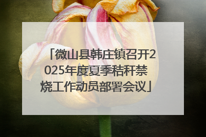 微山县韩庄镇召开2025年度夏季秸秆禁烧工作动员部署会议