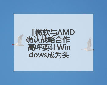 微软与AMD确认战略合作 高呼要让Windows成为头号游戏平台