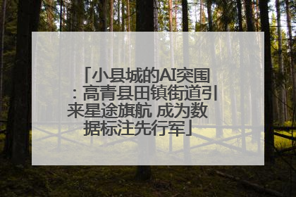小县城的AI突围：高青县田镇街道引来星途旗航 成为数据标注先行军