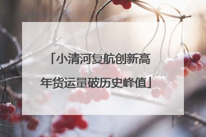 小清河复航创新高 年货运量破历史峰值