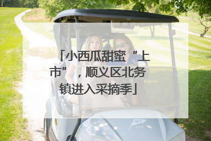 小西瓜甜蜜“上市”，顺义区北务镇进入采摘季