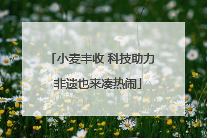 小麦丰收 科技助力 非遗也来凑热闹