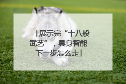 展示完“十八般武艺”，具身智能下一步怎么走