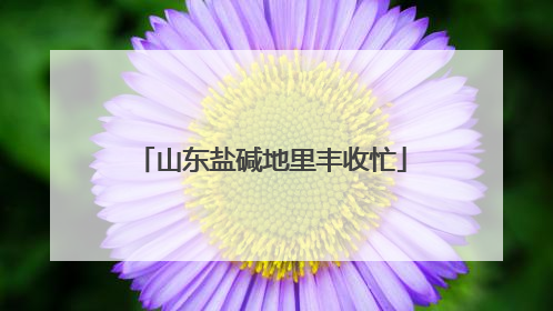 山东盐碱地里丰收忙