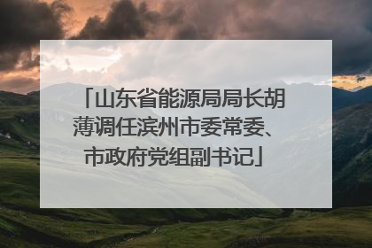 山东省能源局局长胡薄调任滨州市委常委、市政府党组副书记