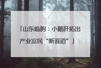 山东临朐：小鹅肝拓出产业富民“新赛道”