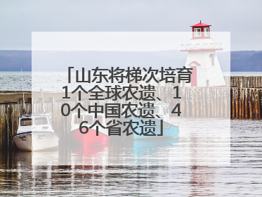 山东将梯次培育1个全球农遗、10个中国农遗、46个省农遗