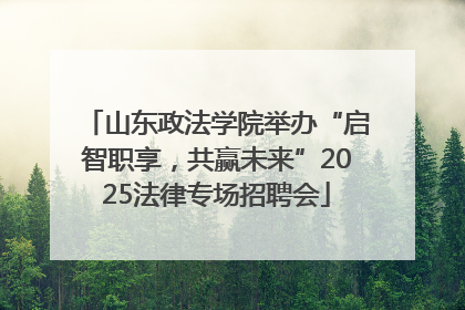 山东政法学院举办“启智职享，共赢未来”2025法律专场招聘会