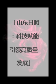 山东日照：科技赋能引领高质量发展