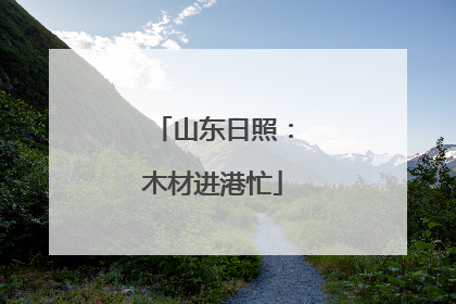 山东日照：木材进港忙