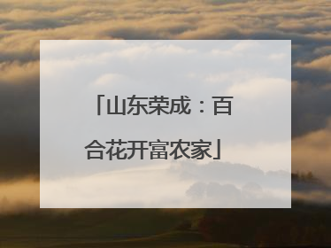 山东荣成：百合花开富农家