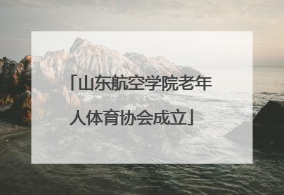 山东航空学院老年人体育协会成立