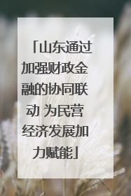 山东通过加强财政金融的协同联动 为民营经济发展加力赋能