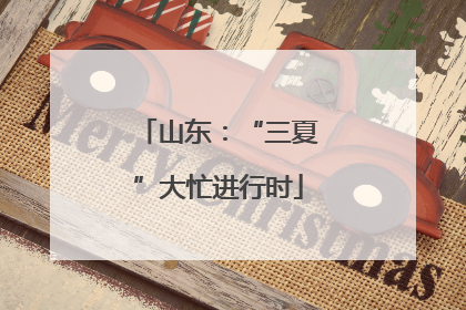山东：“三夏”大忙进行时