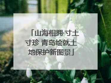 山海相拥·寸土寸珍 青岛绘就土地保护新图景