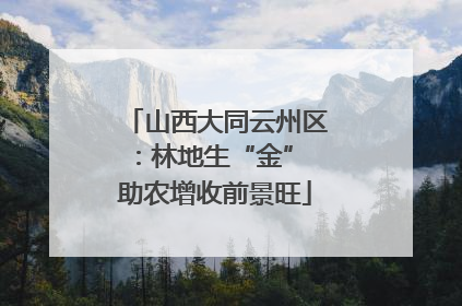 山西大同云州区：林地生“金” 助农增收前景旺