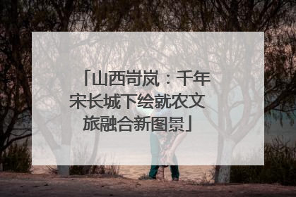 山西岢岚：千年宋长城下绘就农文旅融合新图景