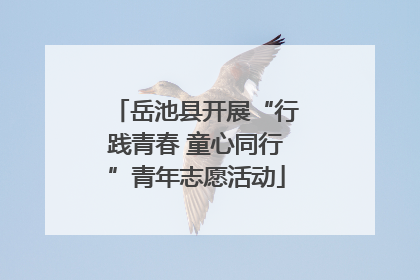 岳池县开展“行践青春 童心同行”青年志愿活动