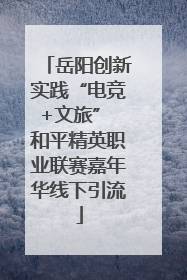 岳阳创新实践“电竞+文旅” 和平精英职业联赛嘉年华线下引流