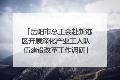 岳阳市总工会赴新港区开展深化产业工人队伍建设改革工作调研
