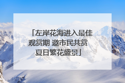 左岸花海进入最佳观赏期 邀市民共赏夏日繁花盛景