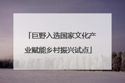巨野入选国家文化产业赋能乡村振兴试点