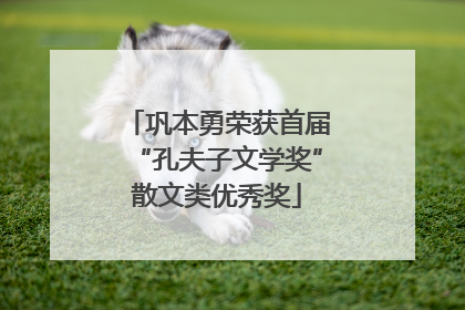 巩本勇荣获首届“孔夫子文学奖”散文类优秀奖