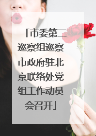 市委第二巡察组巡察市政府驻北京联络处党组工作动员会召开