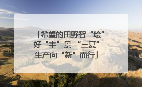 希望的田野智“绘”好“丰”景 “三夏”生产向“新”而行