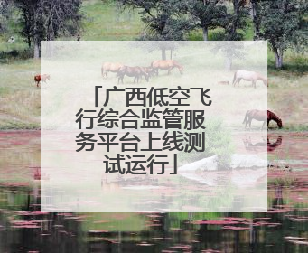 广西低空飞行综合监管服务平台上线测试运行