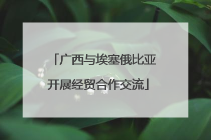 广西与埃塞俄比亚开展经贸合作交流
