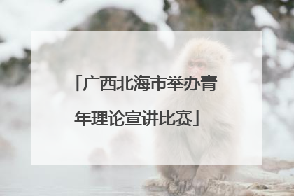 广西北海市举办青年理论宣讲比赛