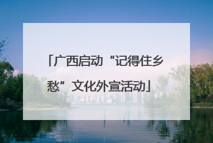广西启动“记得住乡愁”文化外宣活动