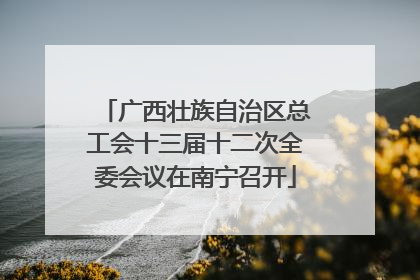 广西壮族自治区总工会十三届十二次全委会议在南宁召开