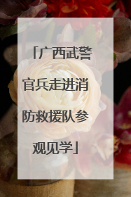 广西武警官兵走进消防救援队参观见学