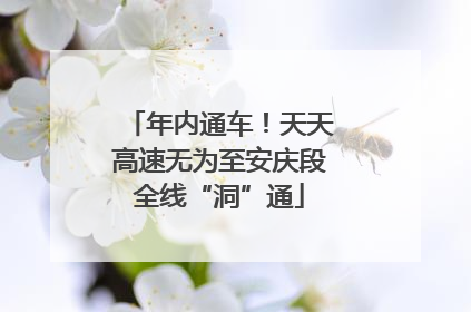 年内通车！天天高速无为至安庆段全线“洞”通