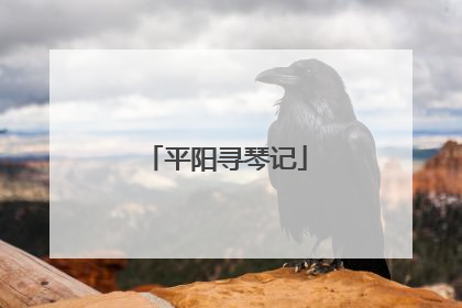 平阳寻琴记