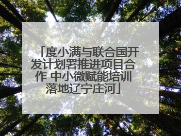 度小满与联合国开发计划署推进项目合作 中小微赋能培训落地辽宁庄河