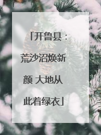 开鲁县：荒沙沼焕新颜 大地从此着绿衣