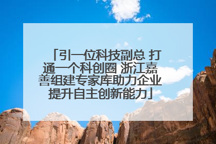 引一位科技副总 打通一个科创圈 浙江嘉善组建专家库助力企业提升自主创新能力