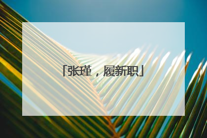 张瑾，履新职