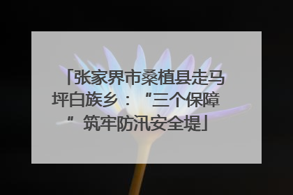 张家界市桑植县走马坪白族乡：“三个保障”筑牢防汛安全堤