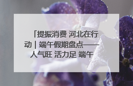 提振消费 河北在行动｜端午假期盘点——人气旺 活力足 端午经济“热浪”迭起