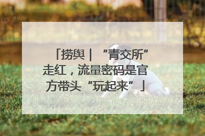 捞舆｜“青交所”走红，流量密码是官方带头“玩起来”