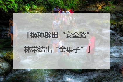 换种辟出“安全路” 林带结出“金果子”