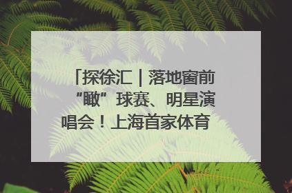 探徐汇｜落地窗前“瞰”球赛、明星演唱会！上海首家体育特色高端酒店亮相